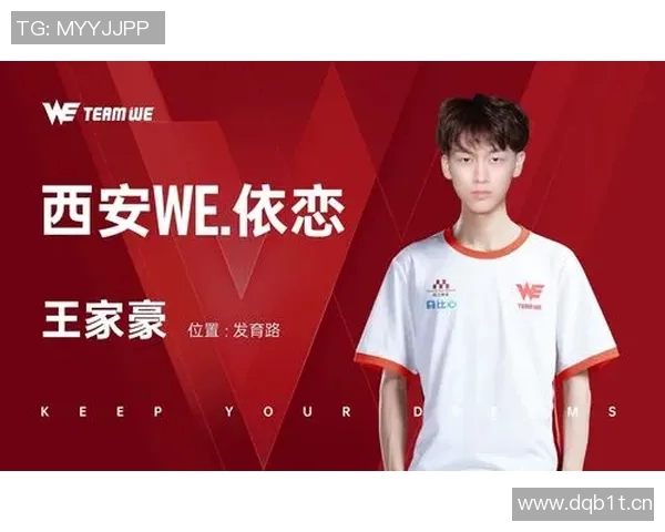 王者荣耀焦点分析：深入探讨WE战队选手的个人能力与表现