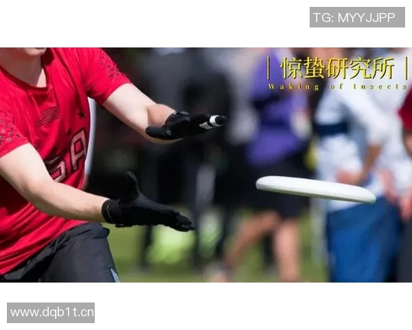 科学飞盘训练技巧与方法全面解析提升运动表现与技能的有效策略